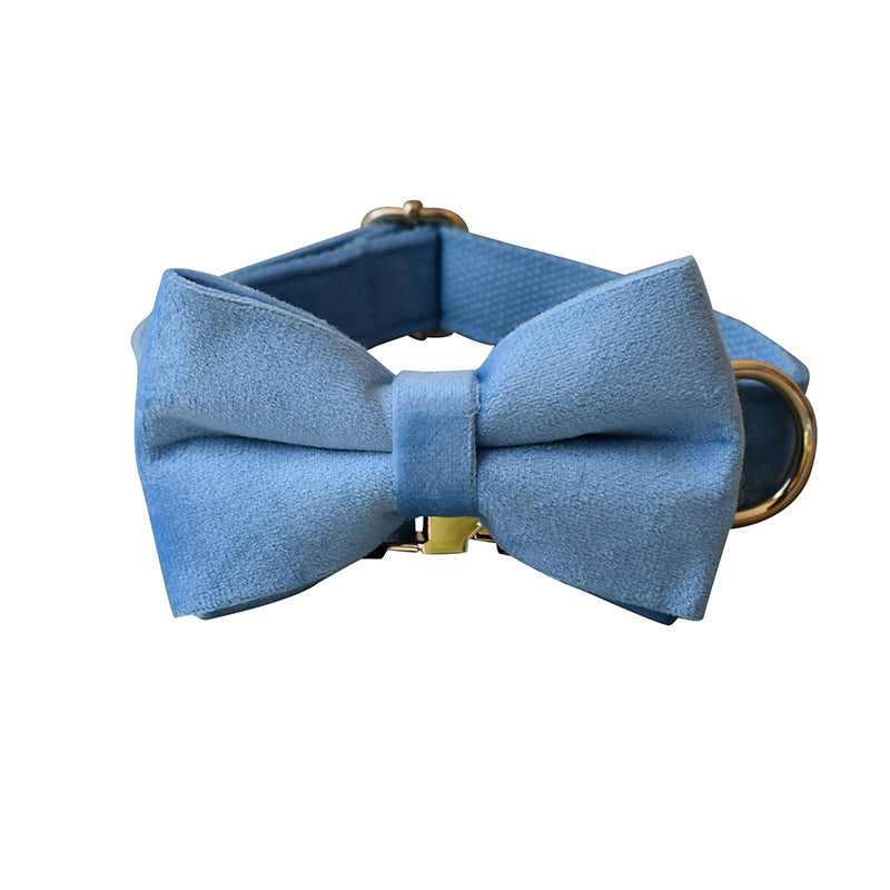 Collier pour chien en velours bleu Laisse pour chien Collier pour animaux de compagnie