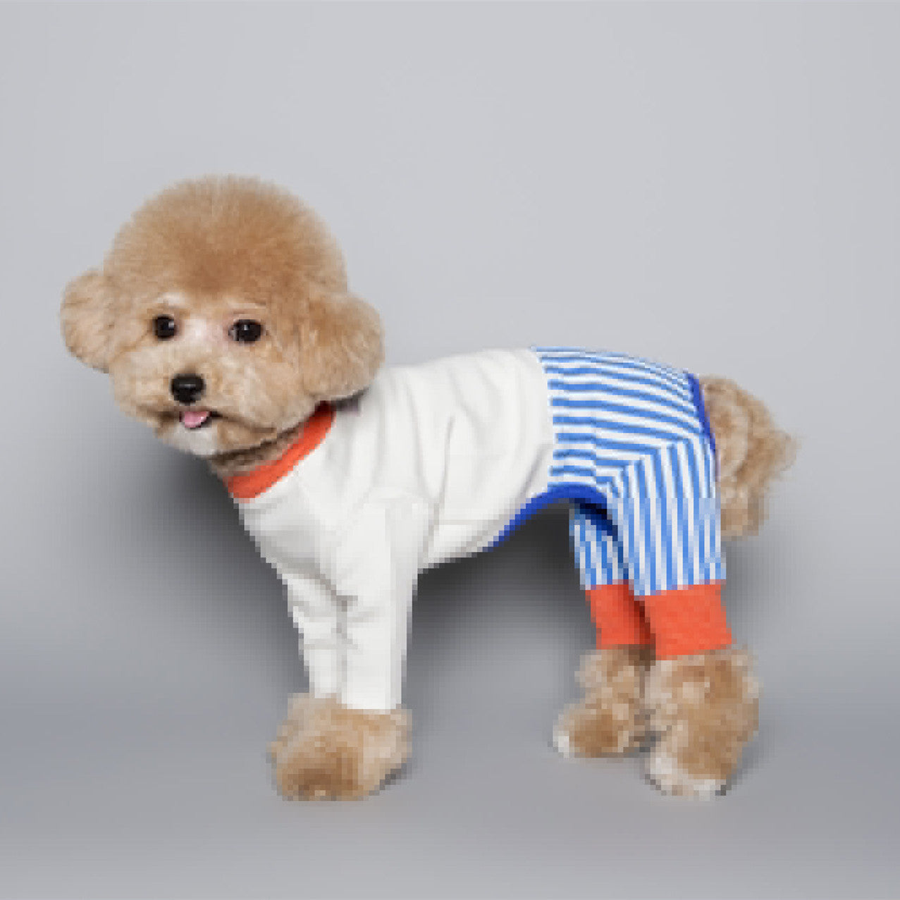 Combinaison Color Block pour Chien de Compagnie