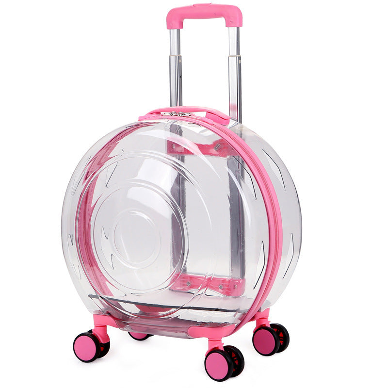 Sac de transport transparent portable pour animaux de compagnie