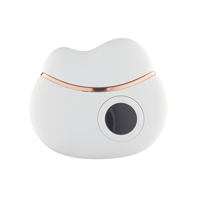 Smart Electric Gua Sha Scraping Massager Home Facial