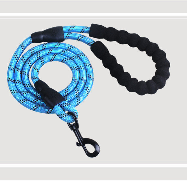 Ensemble Harnais et Laisse pour Animaux de Compagnie, Design Simple et Tendance