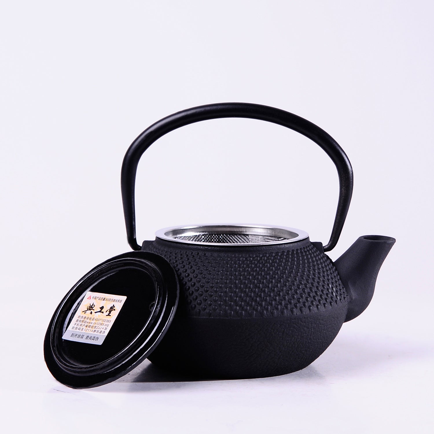 Kung Fu Teapot Iron Pot