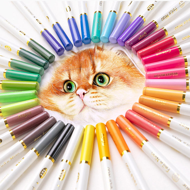 Oily Student Children's Art Hand-painted Special Colored Pencils