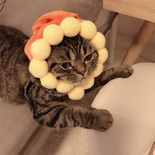 Chapeau de compagnie pour cheveux bouclés, chat, déguisement amusant, produits pour animaux de compagnie