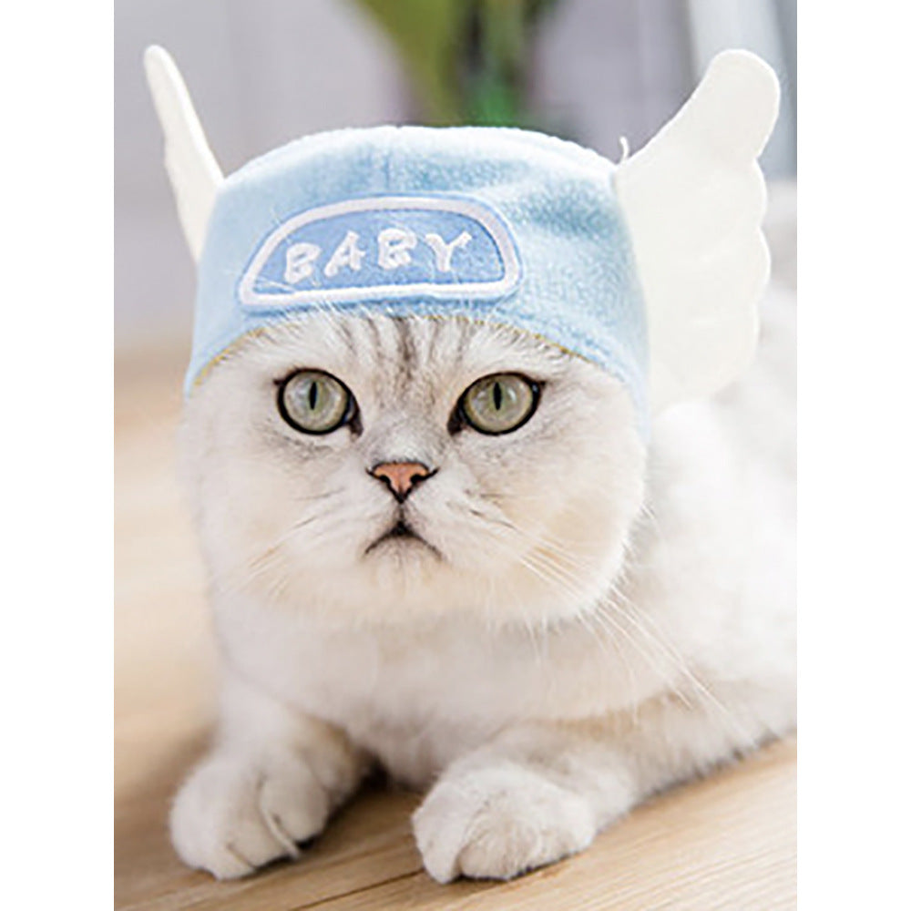 Chapeau de compagnie pour cheveux bouclés, chat, déguisement amusant, produits pour animaux de compagnie