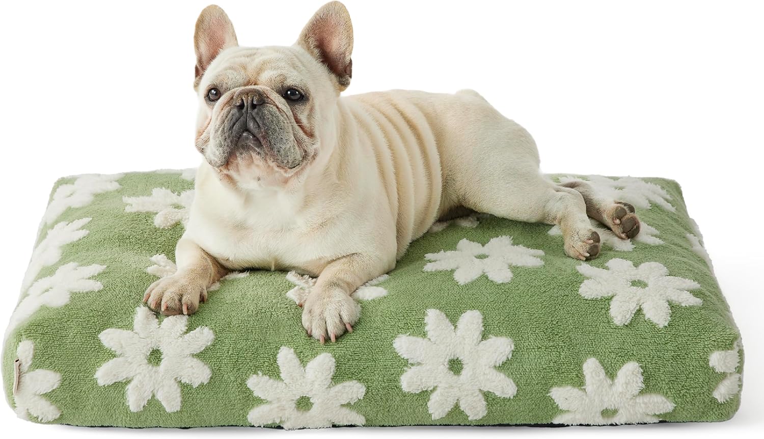 Dog Beds Large Sized Dog Thick Shredded Chopped Foam Pet Bed Dog Bed Indoor With Removable Cover Cute Modern Fuzzy Plush Anti Slip Bottom