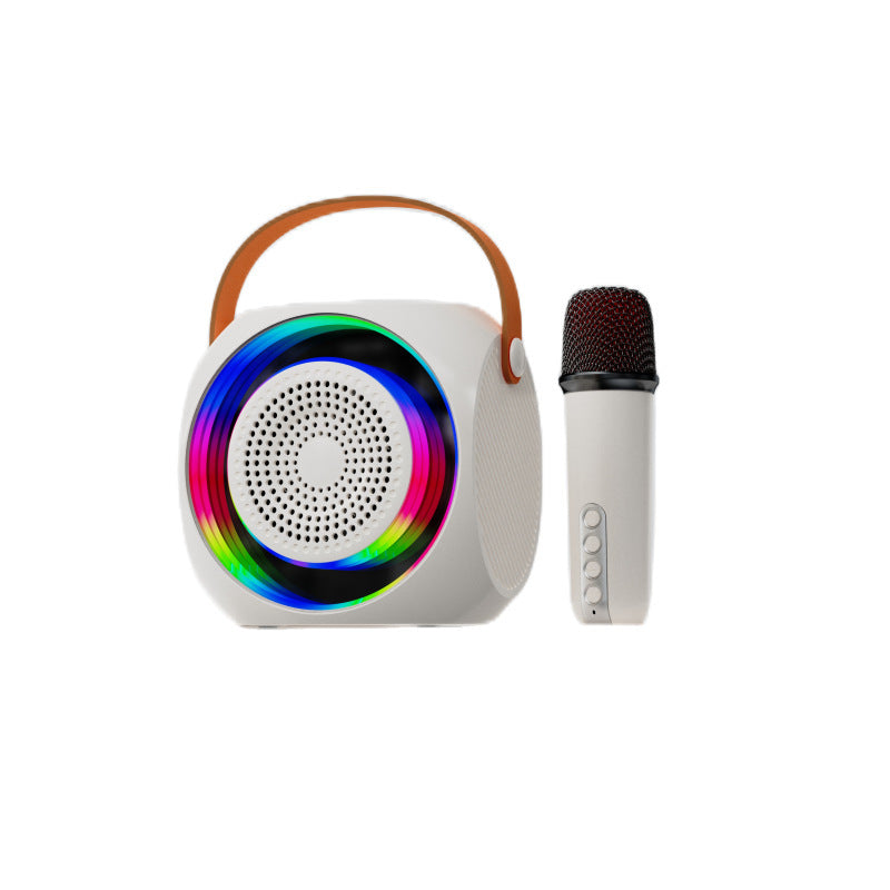 Mini Portable Microphone Audio Integrated