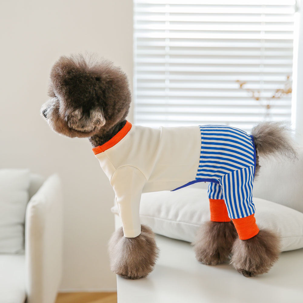 Combinaison Color Block pour Chien de Compagnie