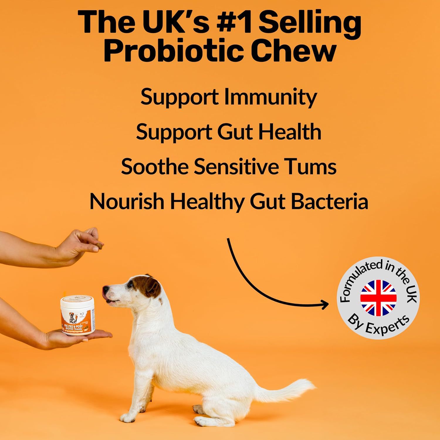 Dog Prebiotics Digestive Snacks Intestinal Health Pet Health Care Products