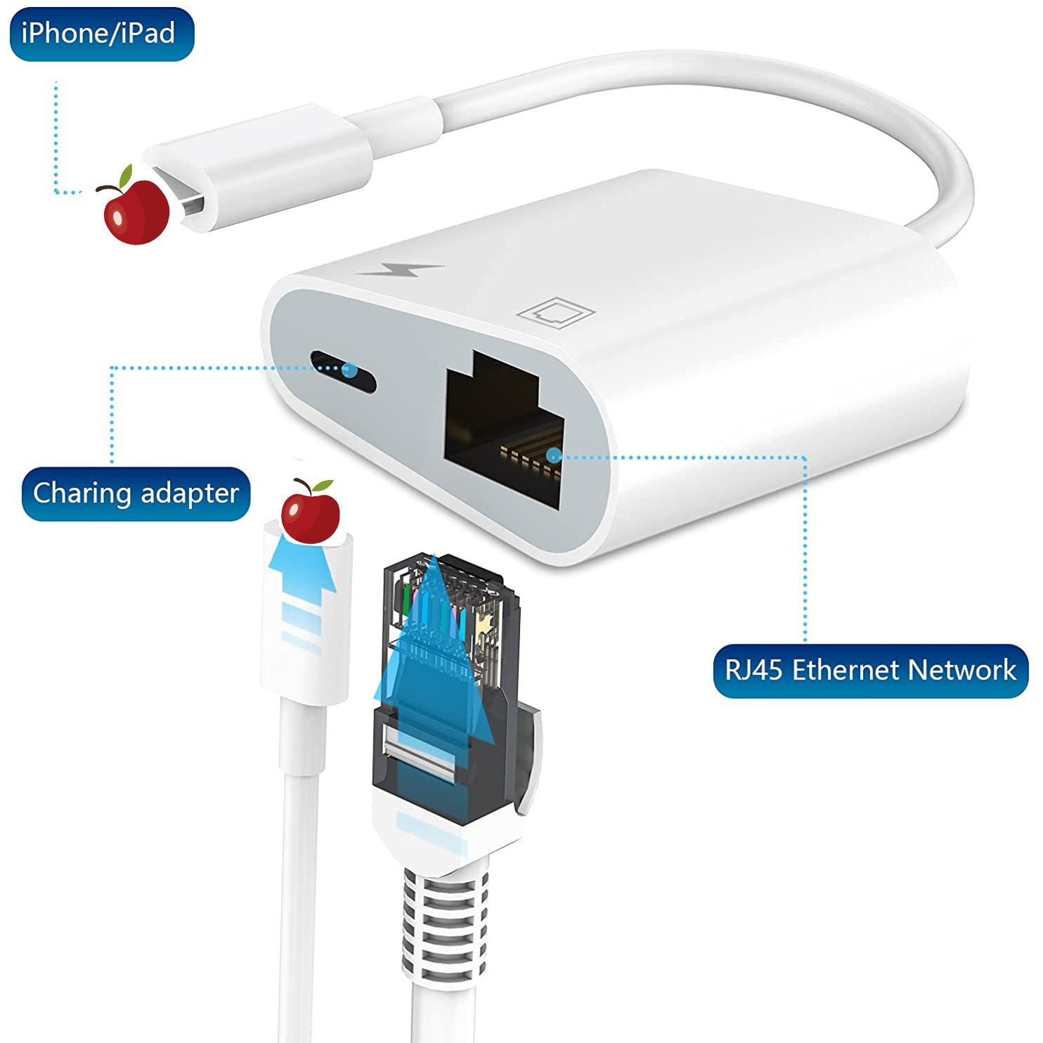 Connecteur de carte réseau Câble réseau de connexion de téléphone portable