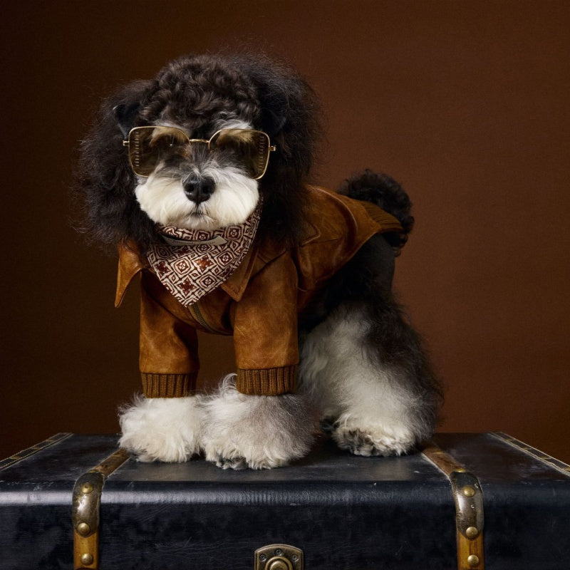 Manteau en cuir à manches longues et à deux pattes de style rétro, idéal pour Schnauzer Bichon
