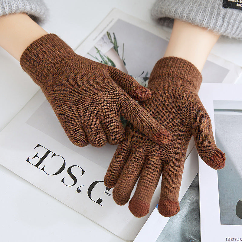 Winter Warm Plush Thickened Touch Screen Gloves