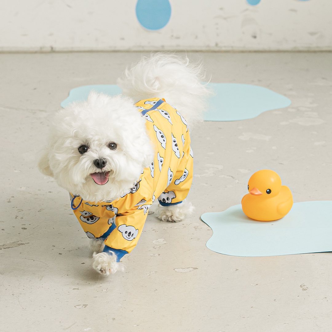 Imperméable pour chien "Fashion Pet Dog" toutes saisons