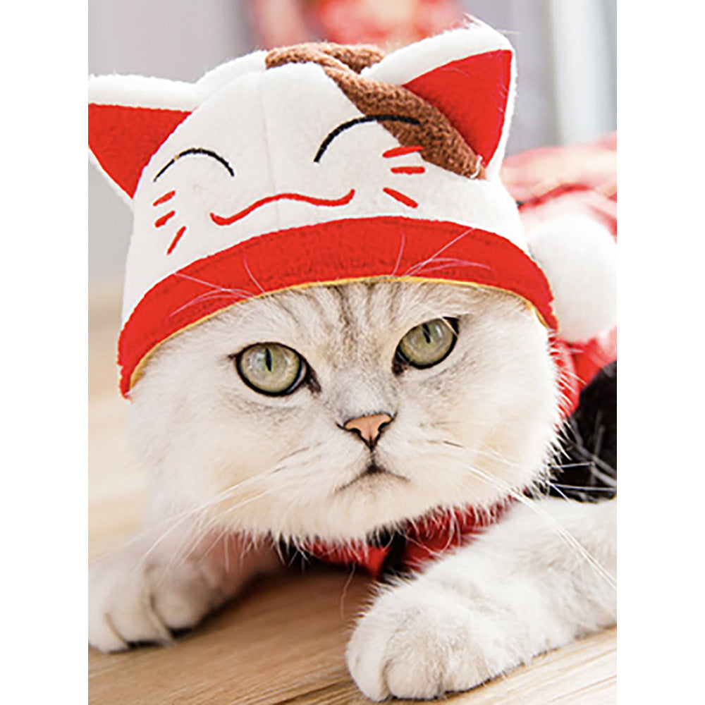 Chapeau de compagnie pour cheveux bouclés, chat, déguisement amusant, produits pour animaux de compagnie