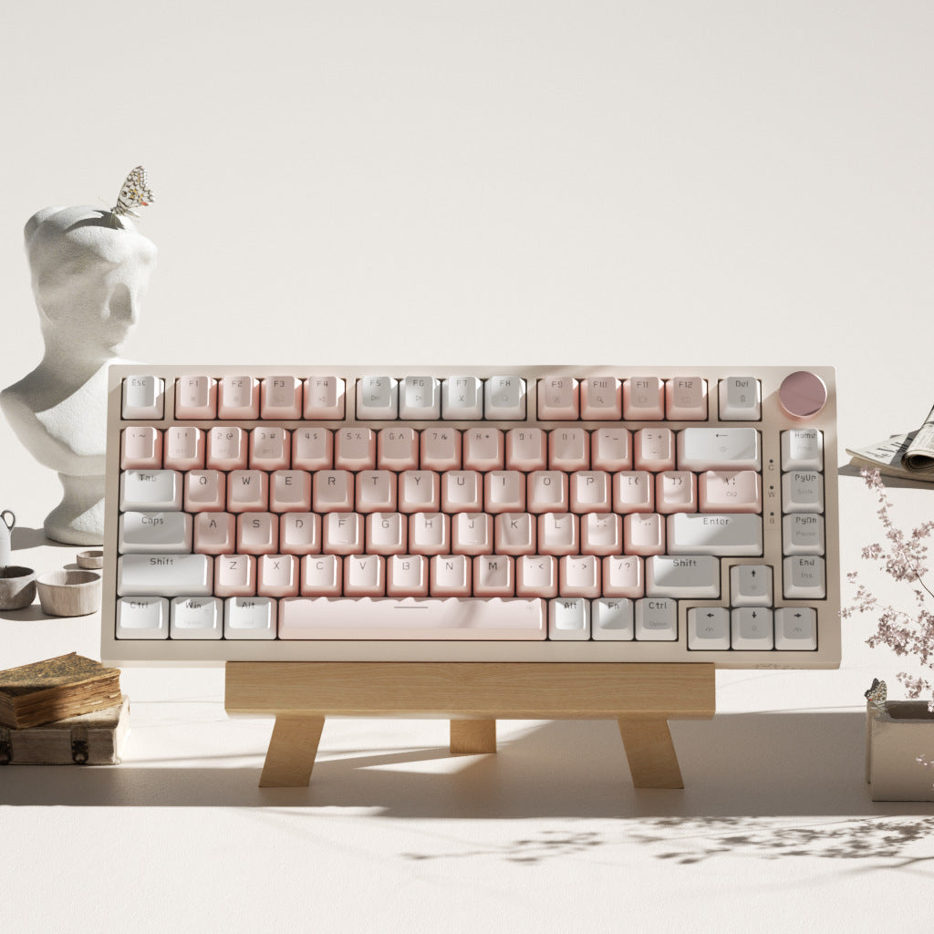 Clavier de bureau à domicile Creative Color Gaming