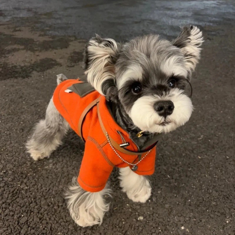 Vêtements d'automne pour petits chiens, pull à capuche à deux pattes