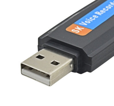 Disque U créatif de mode SK-001 Disque flash USB SK-868 Fonction de carte USB vocale Disque flash USB