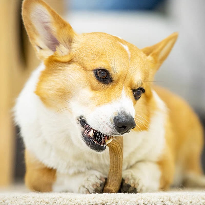 Dog Toy Pine Wood Antler Molar Rod Cleaning Tooth Bone Small And Medium-sized Dogs