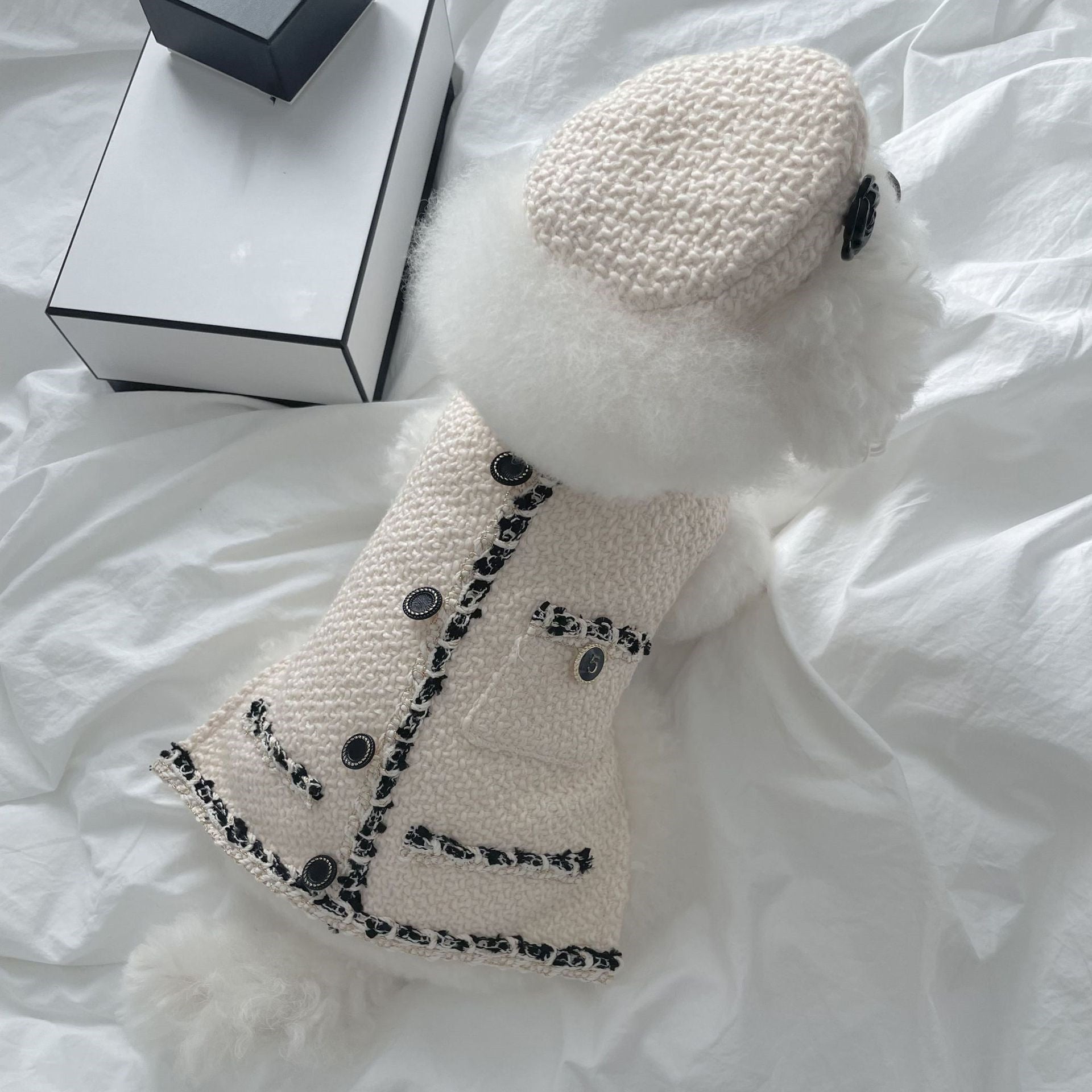 Accessoires pour chiens et chats : Bonnet tricoté