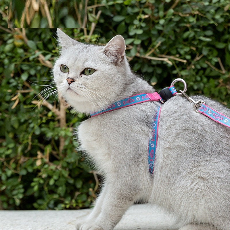Laisse Harnais Gilet Ceinture de Poitrine pour Chat et Petit Chien avec Clochette et Corde de Traction