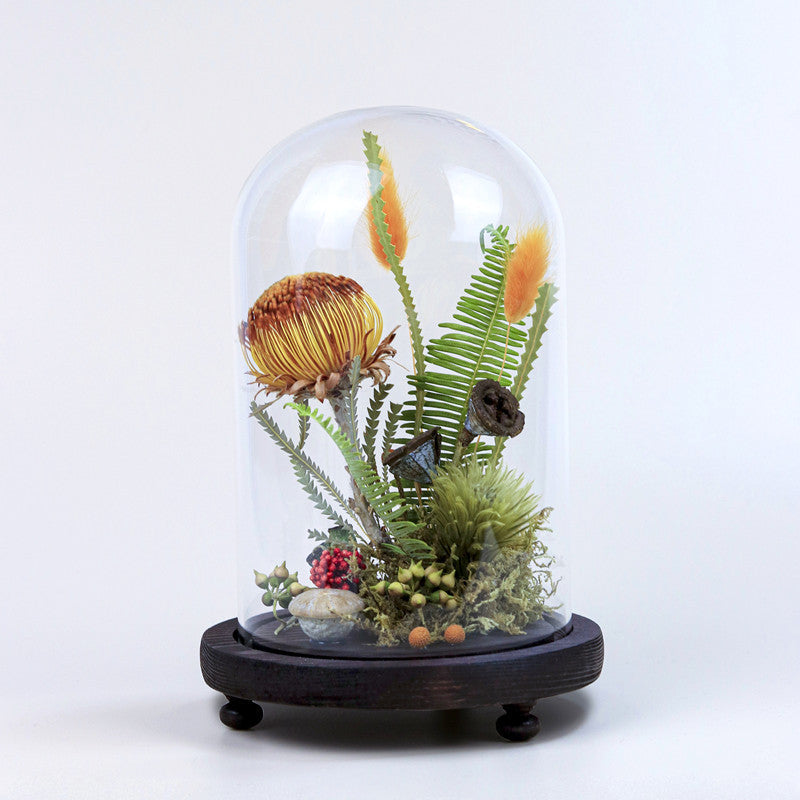 Handmade Plant Dried Flower Flower Micro Landscape Glass Cover Home Furnishings