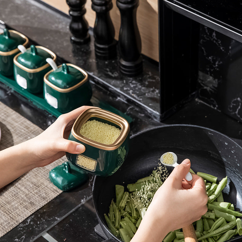 Nordic Light Luxury Plastic Seasoning Box Suit
