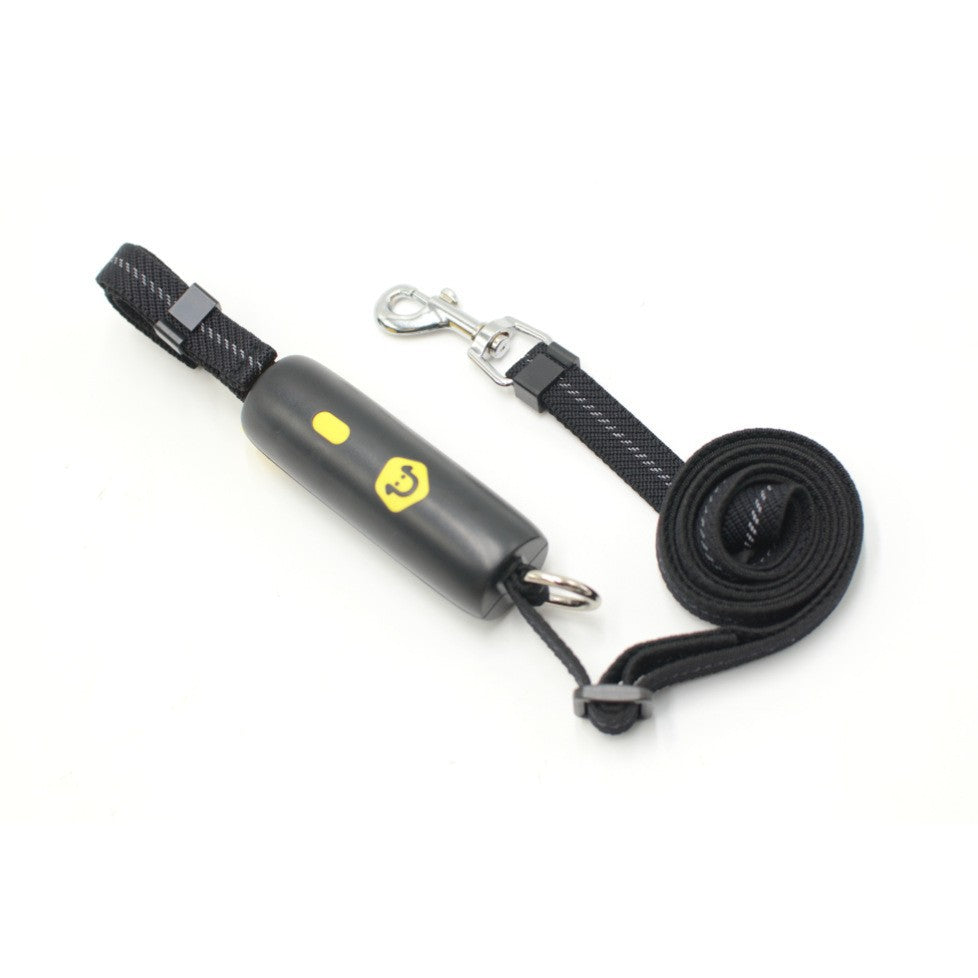 Laisse extensible pour petit et moyen chien, à tenir à la main