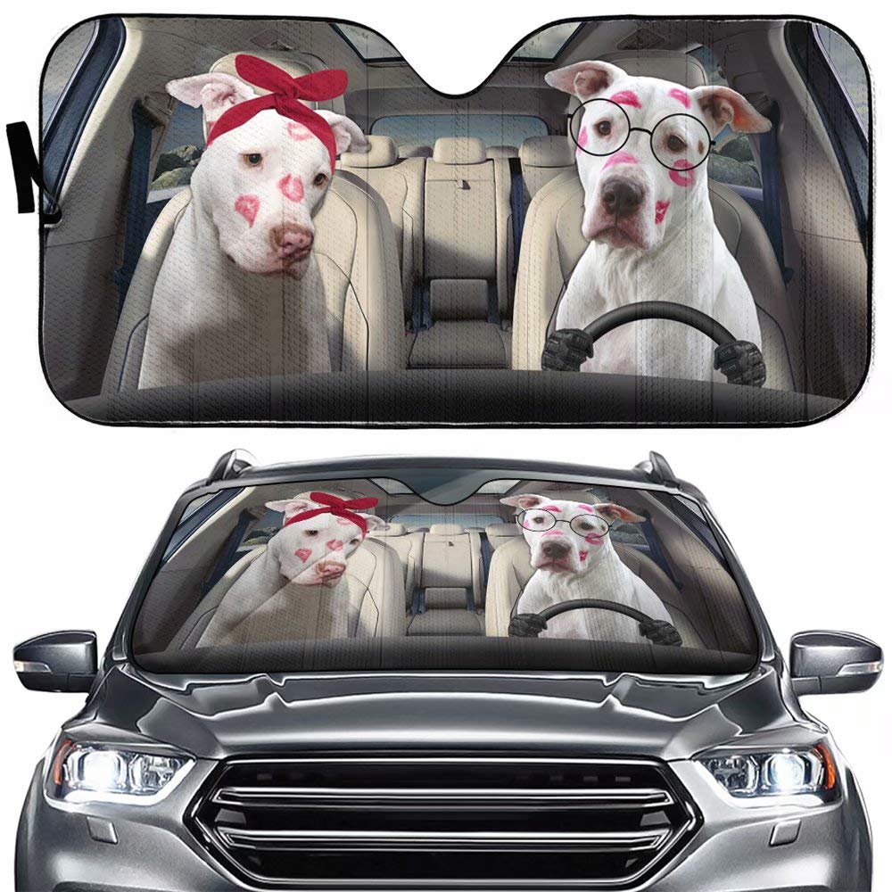 Protection solaire et isolation avec rideaux rétractables sans perforation pour bloquer la lumière