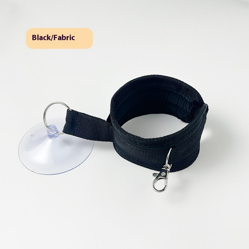 Porte-bain pour chat anti-rayures, anti-mutilation, éponge miracle pour animaux de compagnie, ciseaux à raser pour chat, fournitures de nettoyage des ongles
