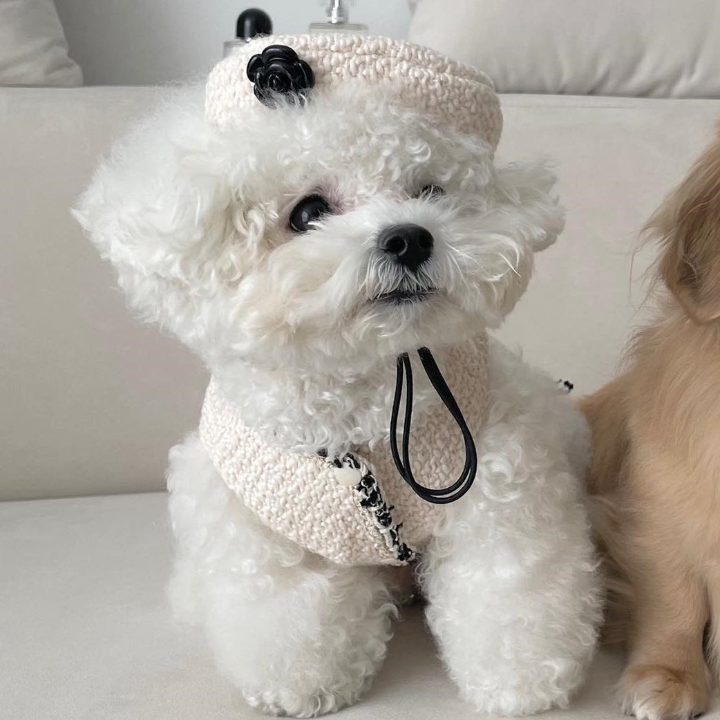 Accessoires pour chiens et chats : Bonnet tricoté