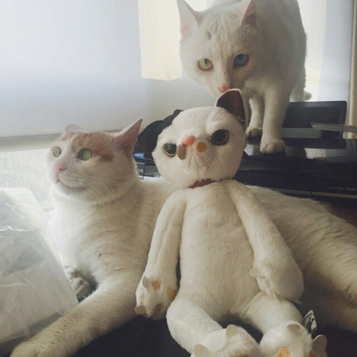 Jouets en peluche pour chats de 60 cm