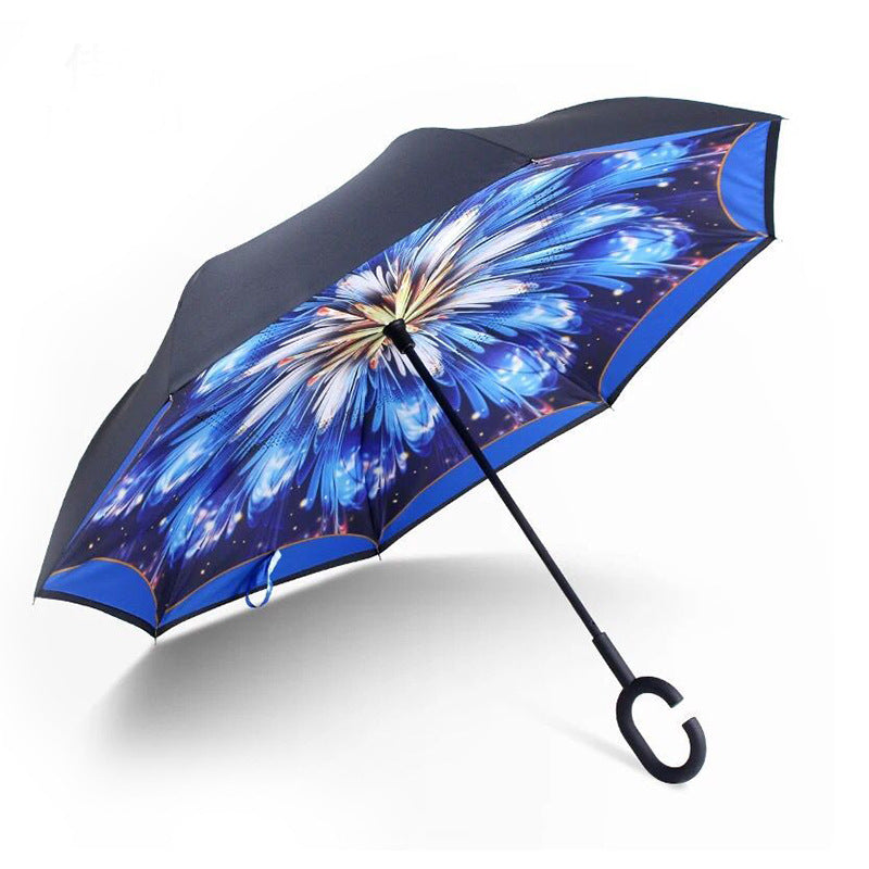 Car reverse umbrella