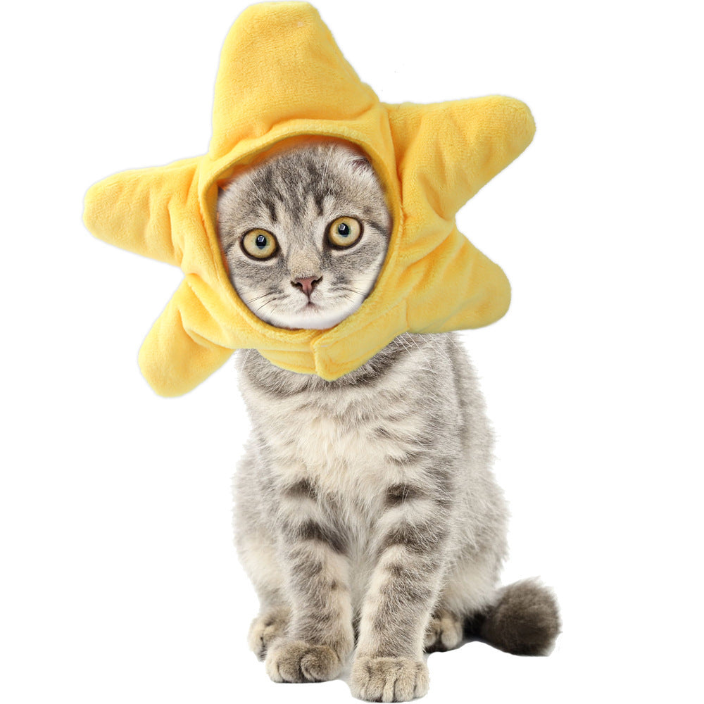 Chapeau de compagnie pour cheveux bouclés, chat, déguisement amusant, produits pour animaux de compagnie
