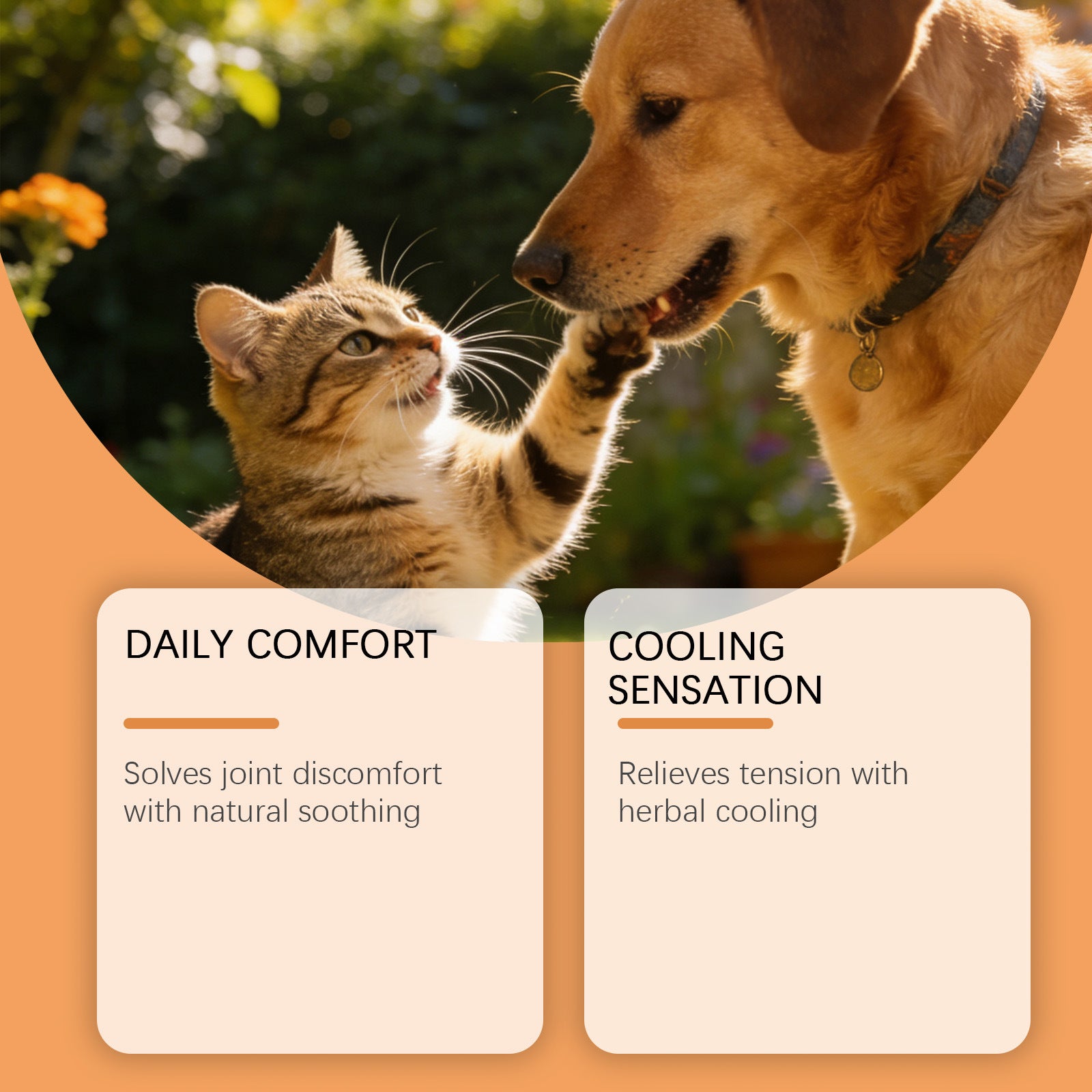 Soin des articulations des animaux de compagnie