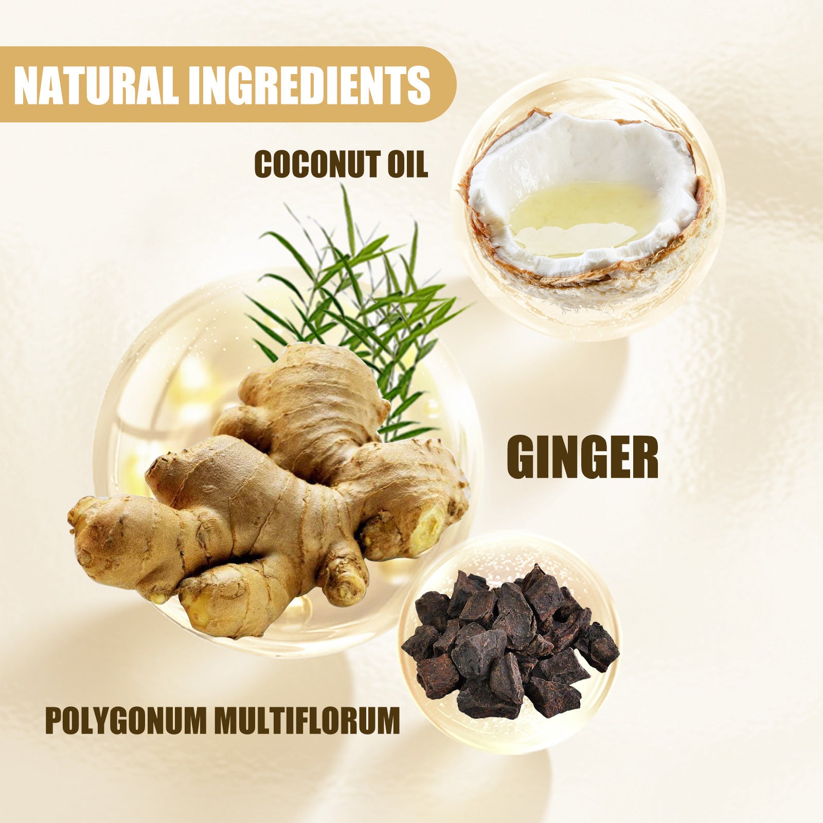 Shampooing fortifiant et nourrissant au gingembre