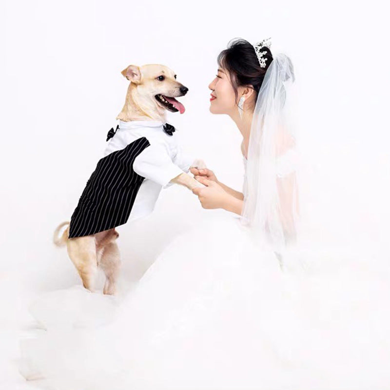 Fashion Simple Pet Dog Suit Shirt