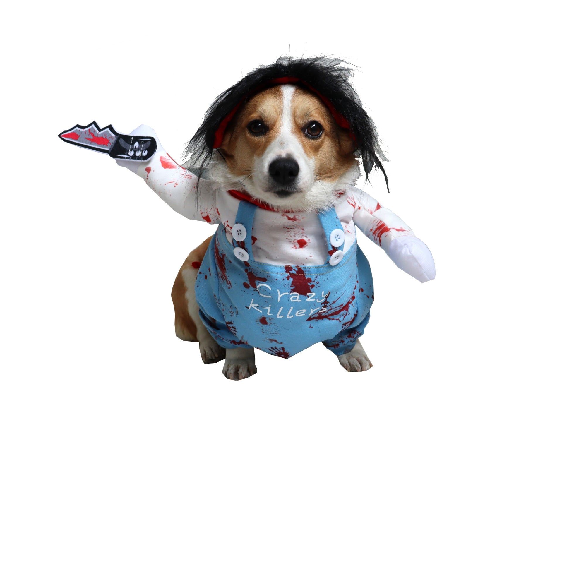 Vêtements d'Halloween pour animaux de compagnie, drôles, costume pour chien, vêtements pour chat