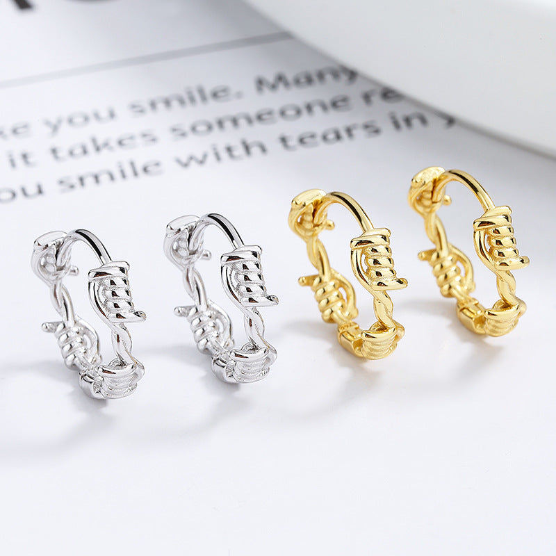 Sterling Silver Fashion Niche Design Earrings