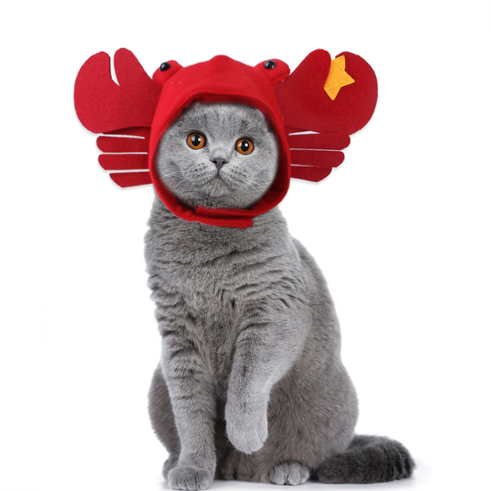 Chapeau de compagnie pour cheveux bouclés, chat, déguisement amusant, produits pour animaux de compagnie