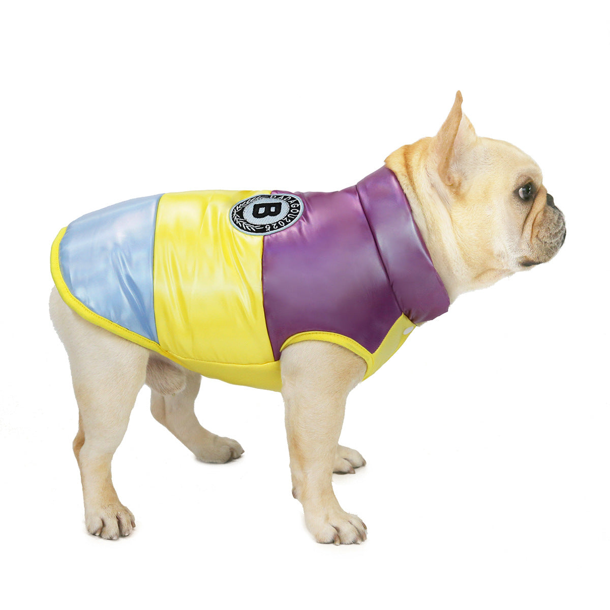 Costume de gilet en coton pour taureau de compagnie arc-en-ciel