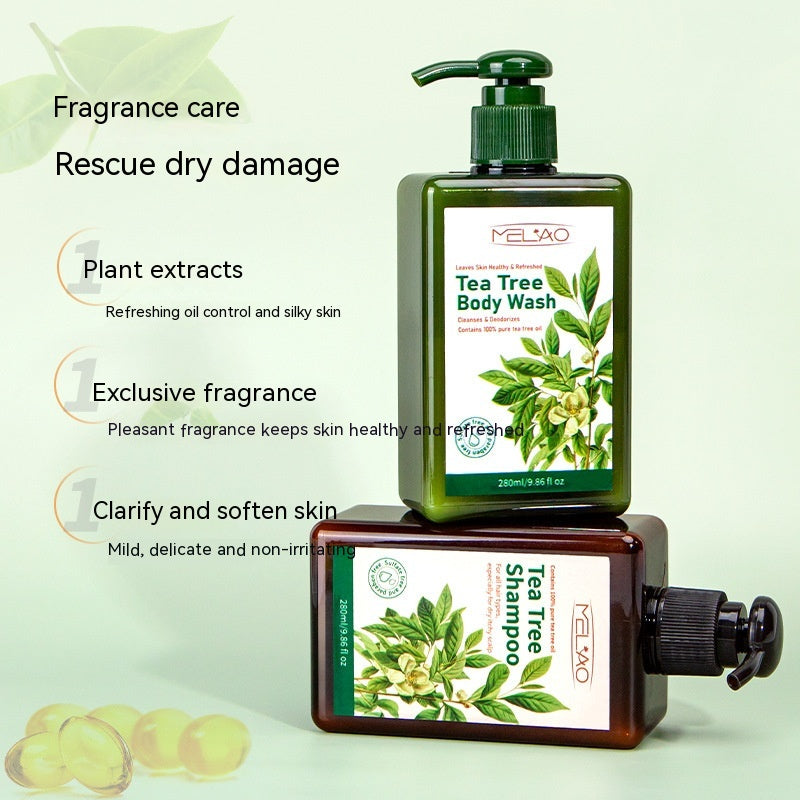 Gel douche shampoing arbre à thé Parfum longue durée Nourrissant Hydratant