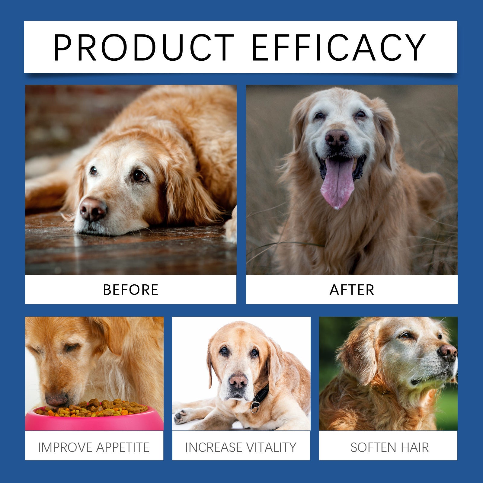 Soin Chien Âgé Comprimés de Calcium Supplément Nutrition Animal de Compagnie Nutrition