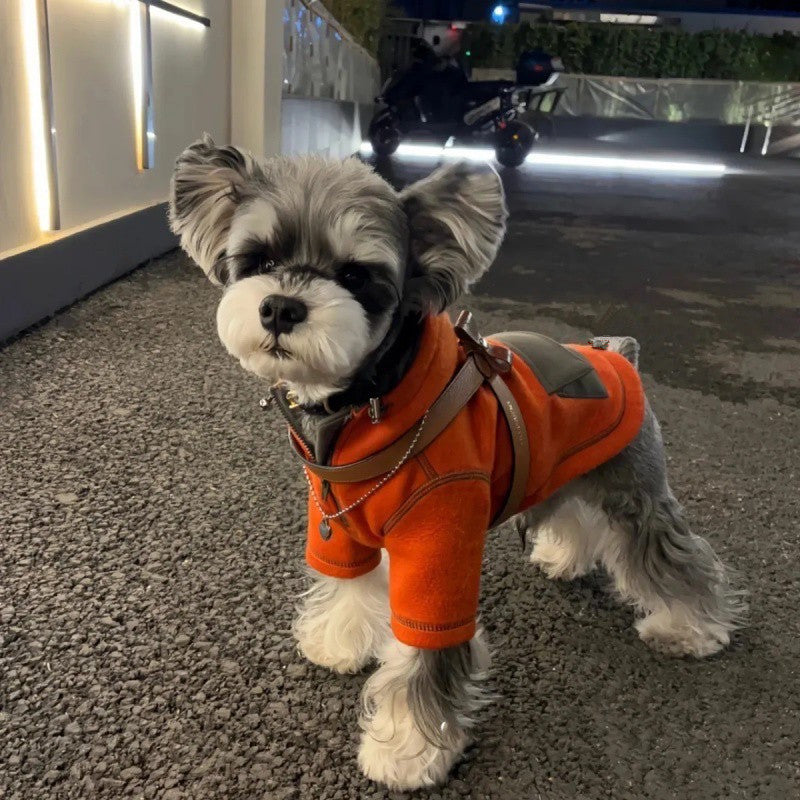 Vêtements d'automne pour petits chiens, pull à capuche à deux pattes
