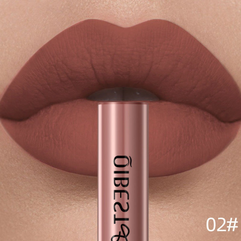 Rouge à lèvres liquide mat 24 couleurs