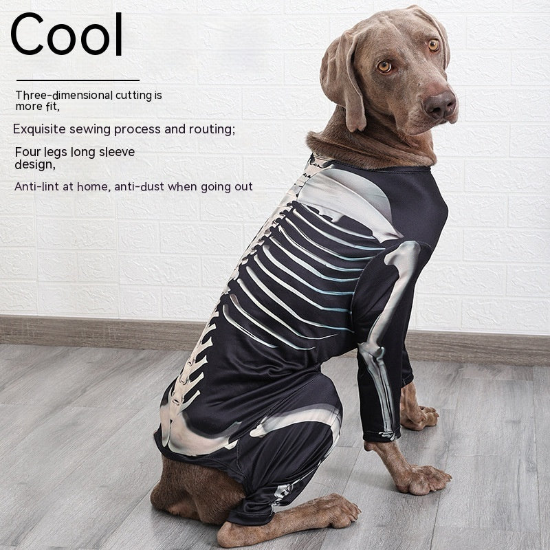 Vêtements tendance pour chiens – Halloween