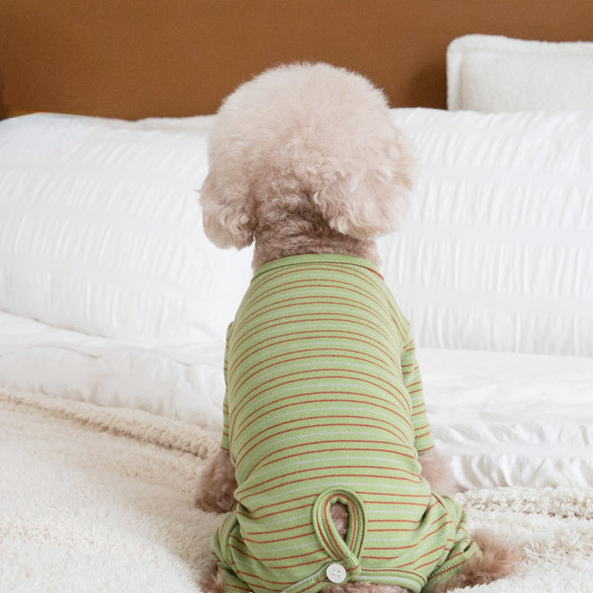 Vêtements pour chiens à quatre pattes