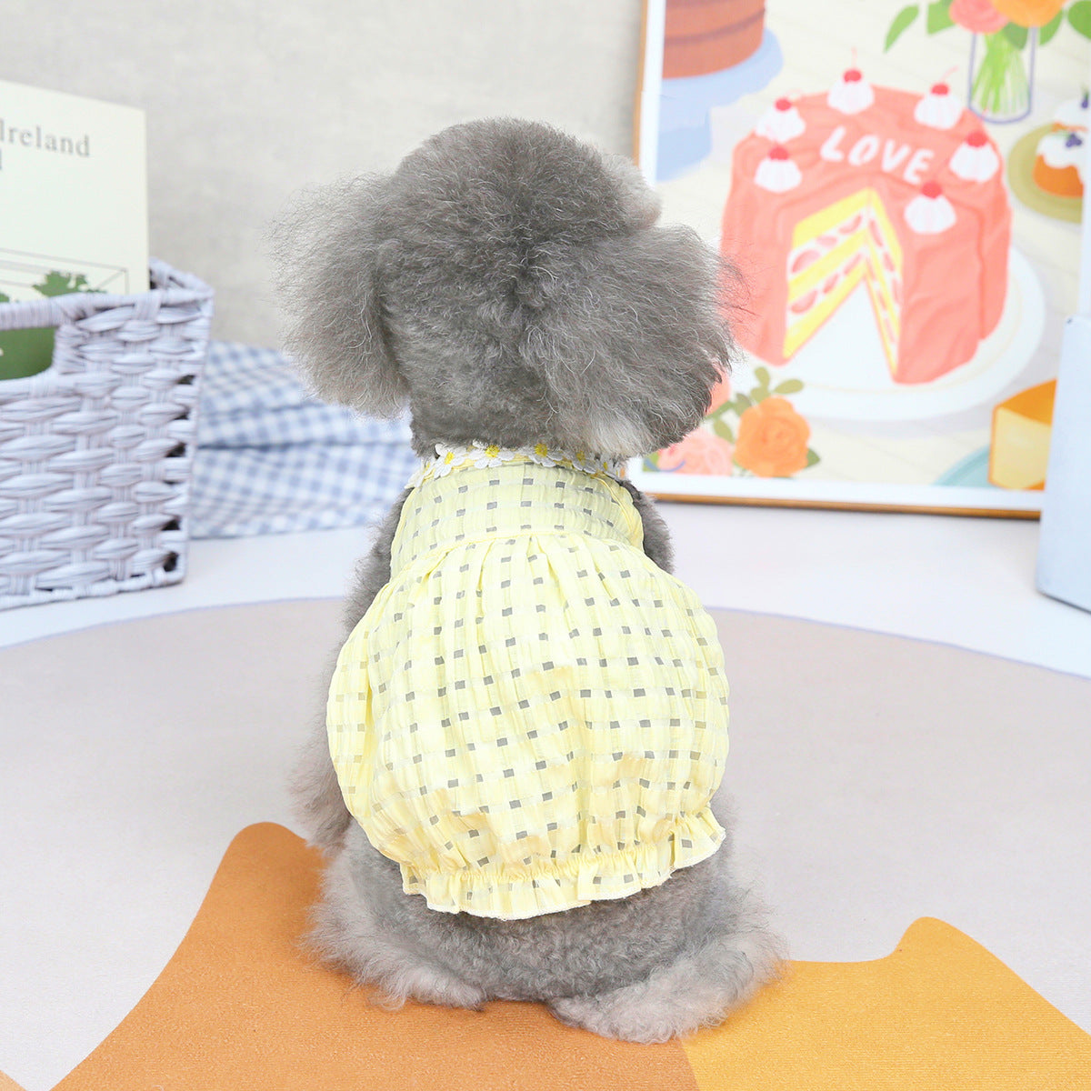 Pet Fashion Spring Summer Puppy Clothes Dress