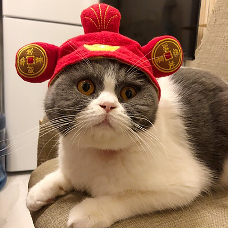 Chapeau de compagnie pour cheveux bouclés, chat, déguisement amusant, produits pour animaux de compagnie