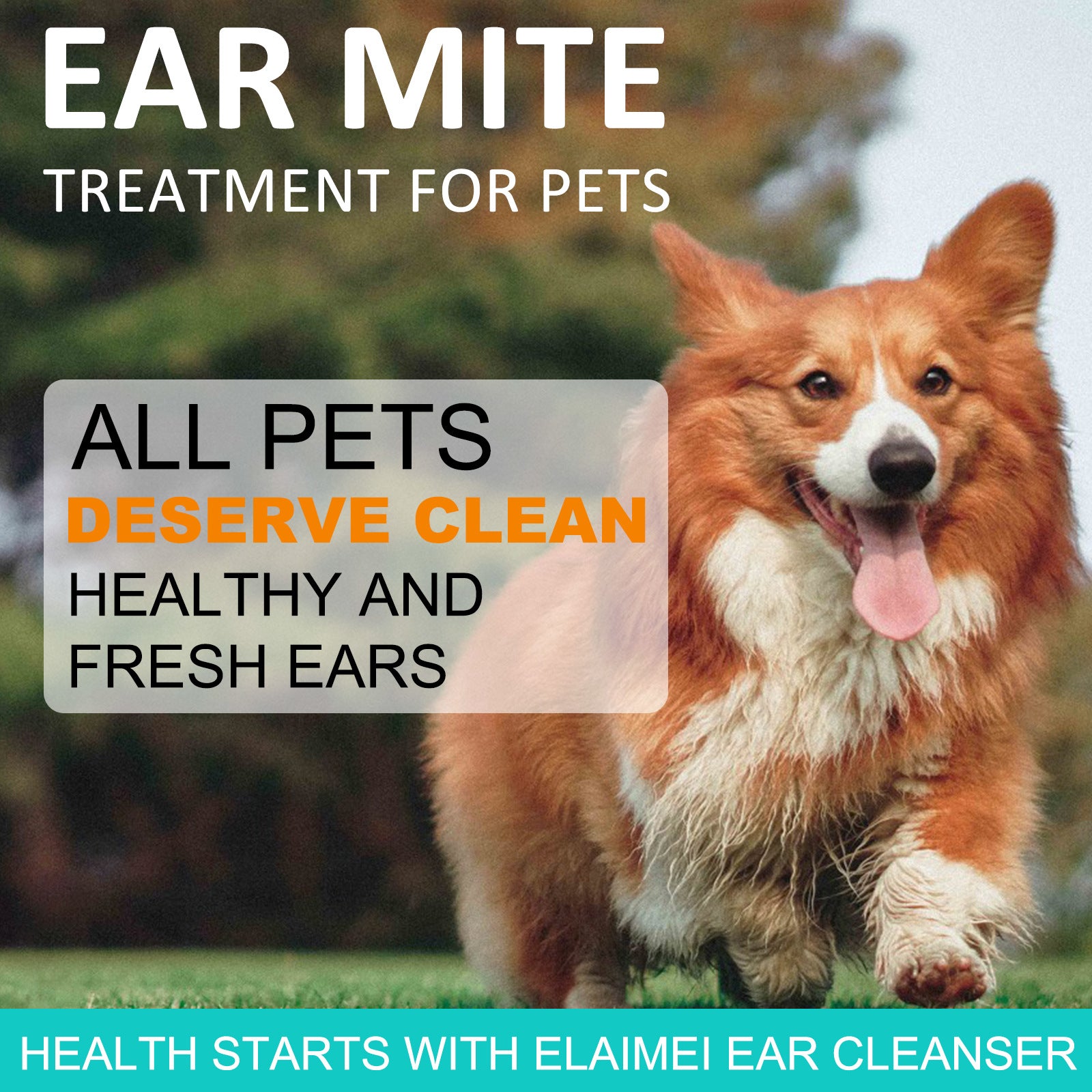 Solution de nettoyage des oreilles pour chats et chiens