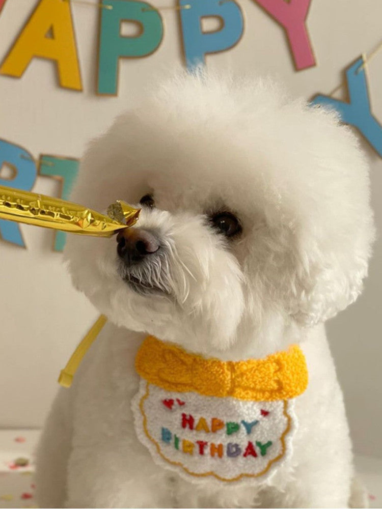 Bavoir Chapeau de Décoration Spéciale pour Chien de Compagnie